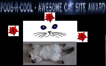 catsiteaward.jpg